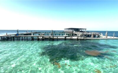 Punta Cana: Descubre sus secretos mejor guardados